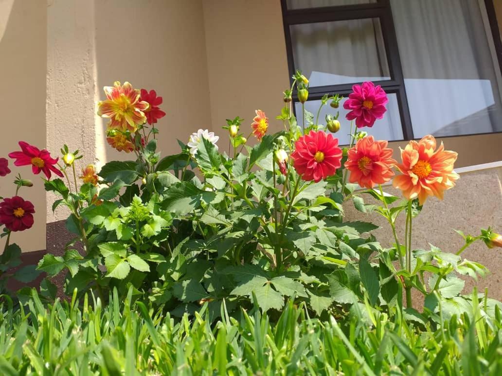 Styled Bed And Breakfast Palapye Exterior photo